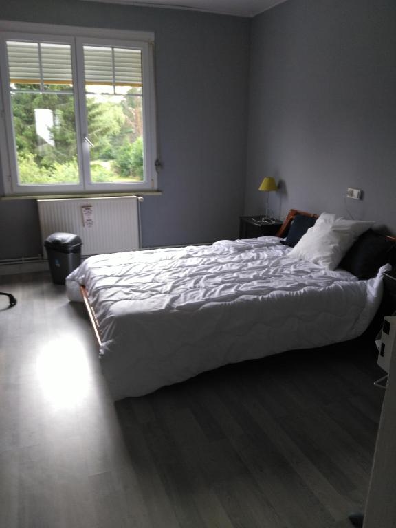 a bedroom with a large bed and a window at 1 Chambre d hôtes dans un écrin de verdure in Dambach
