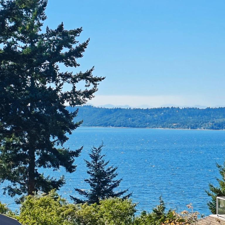 a view of a large body of water with trees at Saltwater Beach Home with Ocean View in Des Moines
