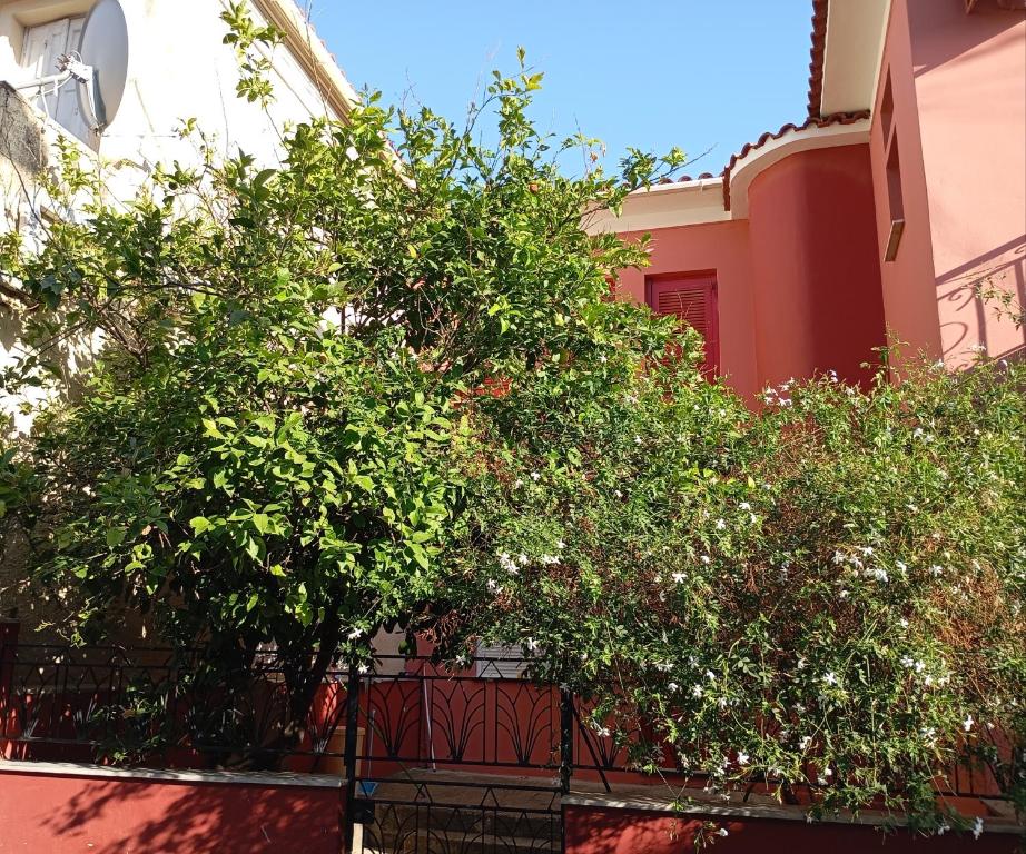 a tree in front of a building with a balcony at P & G Apartment in Pámfylla