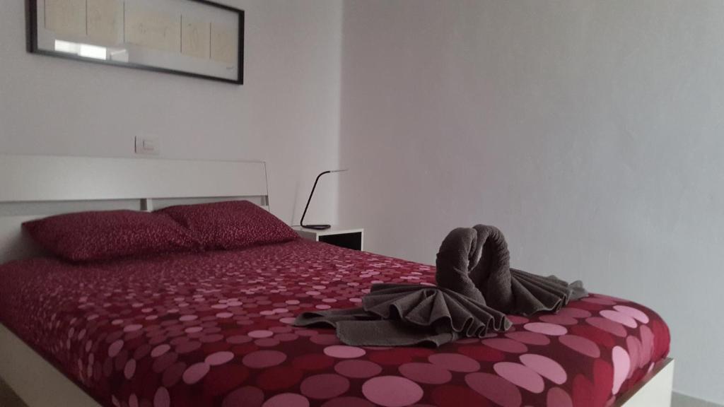 Zdjęcie z galerii obiektu Panelo Cactus Apartment w Puerto del Carmen