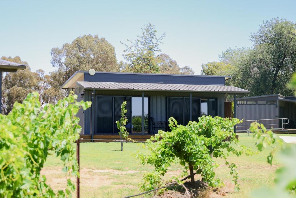 a house with a view of a yard with trees at Buller Wines in Rutherglen