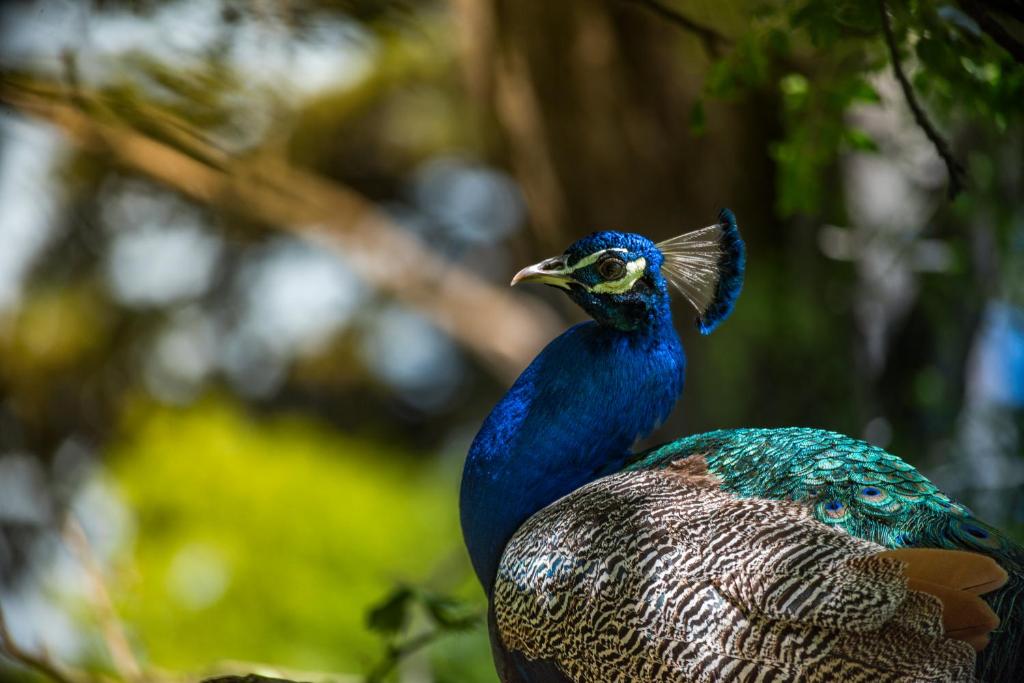 El Encuentro Casa de Campo