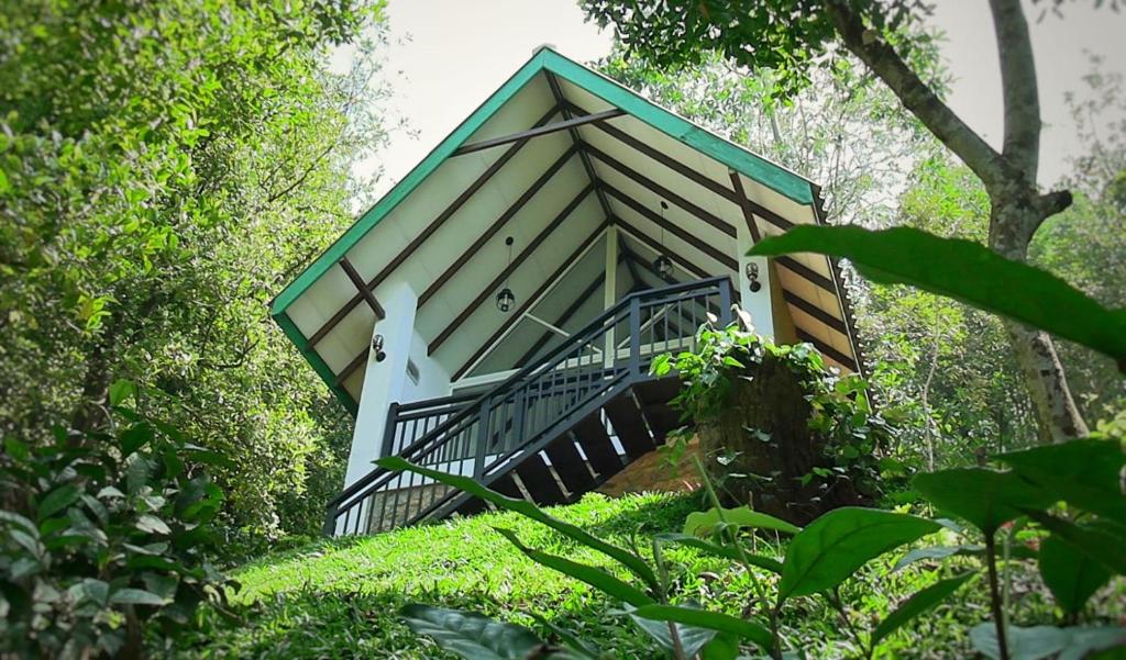 a small tree house in the middle of a forest at Ranthilaka Villas in Kandy