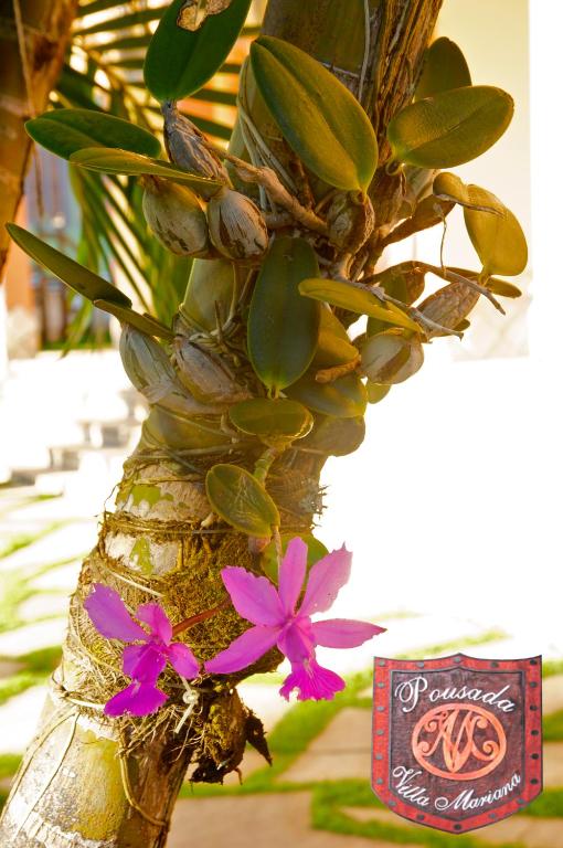  Pousada Villa Mariana
