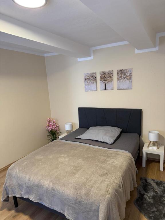 a bedroom with a bed with two tables and two paintings at Gemütliches Appartement 5 - mit Küche und Bad zur Eigennutzung -Schuster Homes- in Vechelde