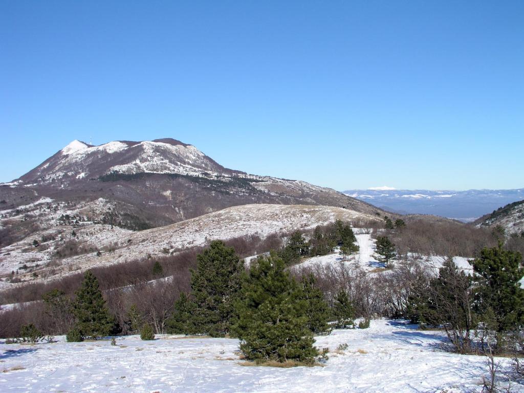 une montagne recouverte de neige avec des arbres au premier plan dans l&#39;établissement Villa Mare &amp; Monti Istra, à Opatija