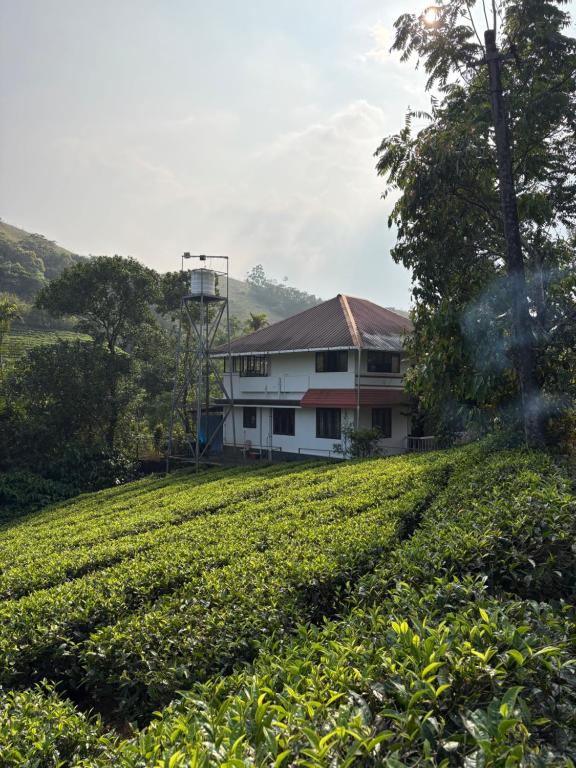 a house in the middle of a tea plantation at FroZen NeST in Vagamon