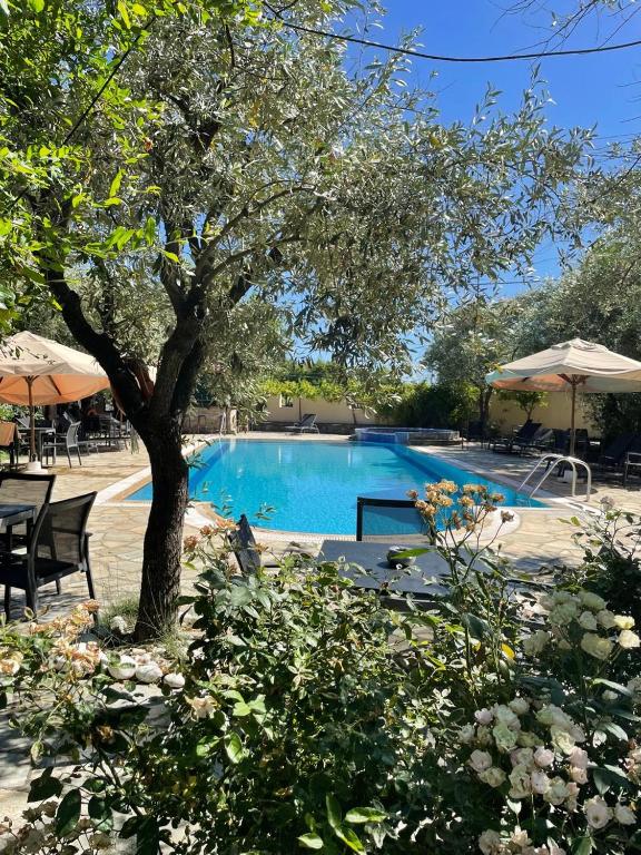 a large swimming pool with a tree and chairs at Saily Beach Hotel in Koropi