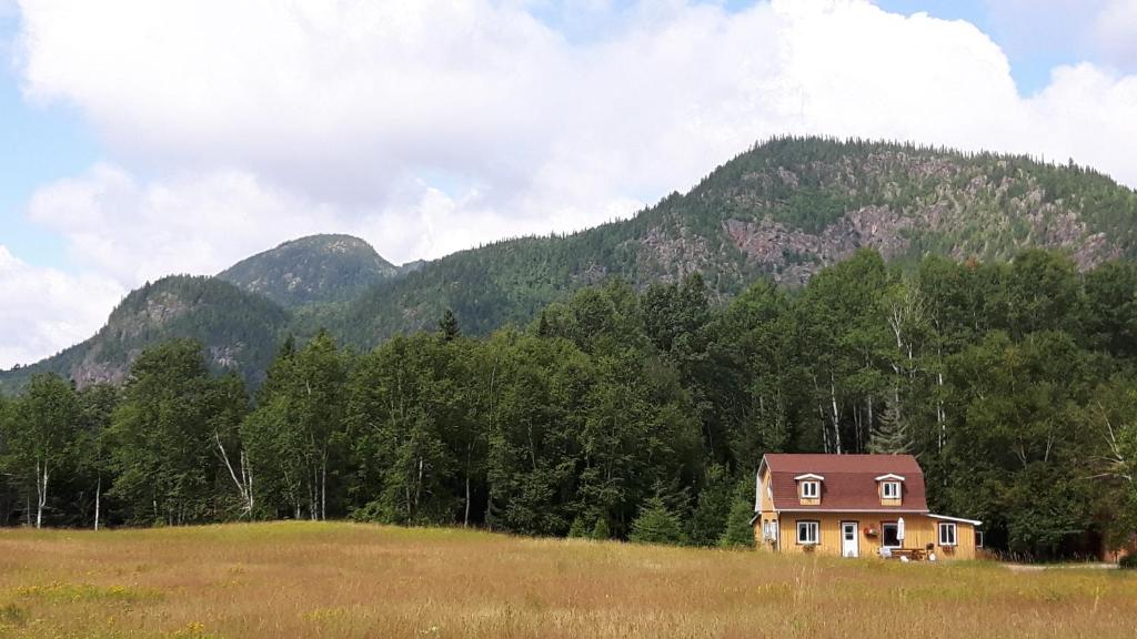 a house in a field in front of a mountain at Grangette Entre Chiens et Loups in LʼAnse-Saint-Jean