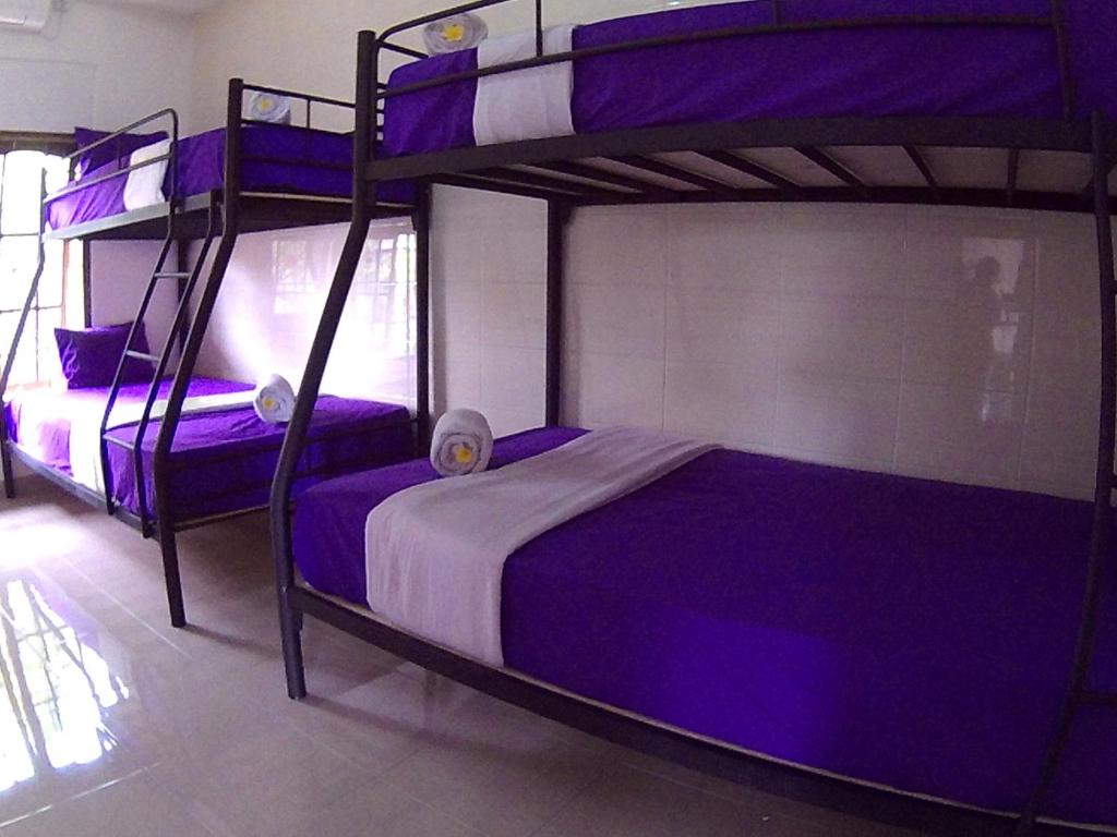 two bunk beds in a room with purple sheets at 24/7 Bed & Breakfast in Jimbaran