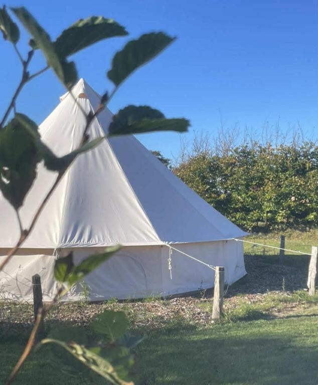 a white tent sitting in the grass in a field at Stenbækgård - Farm Glamping in Højslev