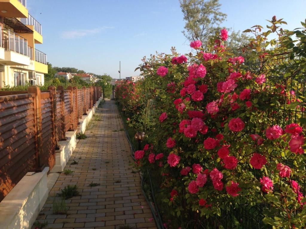 a garden with pink roses on a brick path at Large Two Floor Apartment in Byala