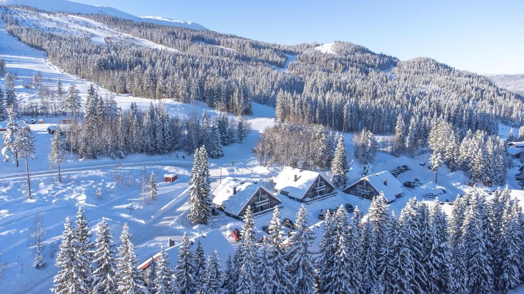 an aerial view of a ski lodge in the snow at Bakkebyvegen 22A in Trysil