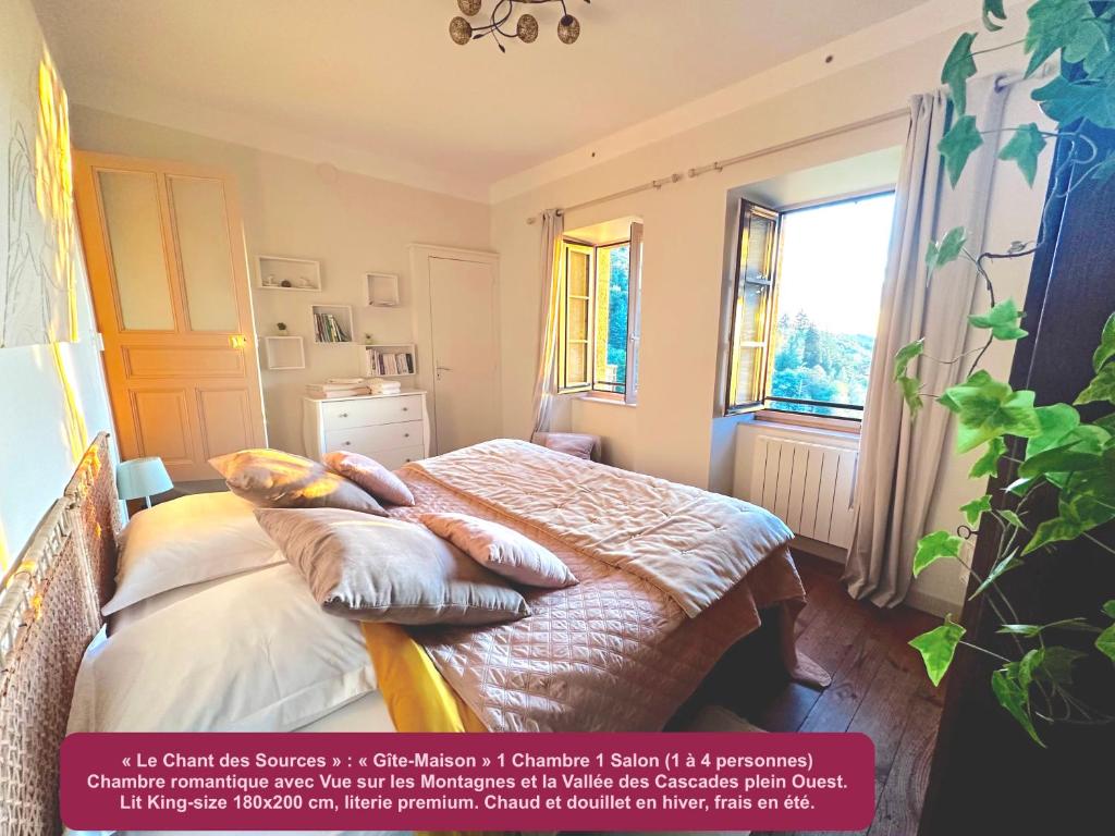 a bedroom with a bed with pillows and a window at Le Chant des Sources, Gîtes et Chambres d'hôtes avec Vue, à Gimel-les-Cascades in Gimel