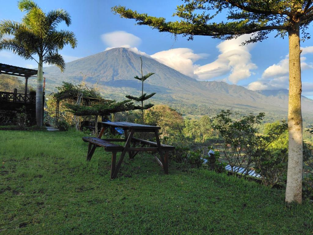 a picnic table with a view of a mountain at Sembalun agro villa&restoran in Sembalun Lawang