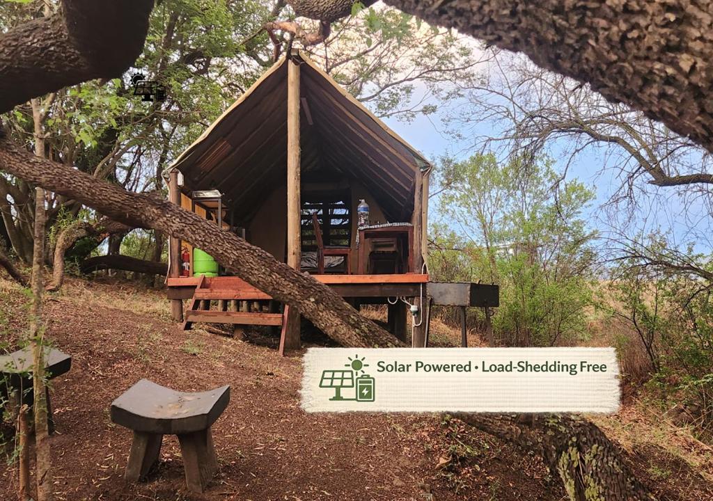 a tree branch laying on top of a small tree house at Hideout River View Tent in Skeerpoort
