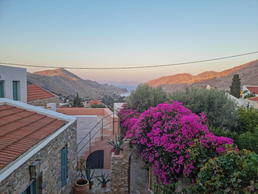 a view of a city with purple flowers at Symi Village House in Symi