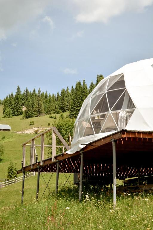 a glass dome on top of a building in a field at Motyl Glamping Resort in Dzembronya