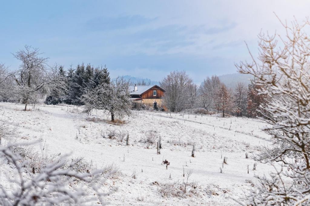 a snow covered field with a house in the background at Na Samotě u tratě in Nepomuk