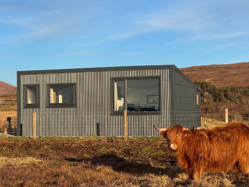 a cow standing in a field in front of a house at Bonnie Brae Croft Bothies in Portree