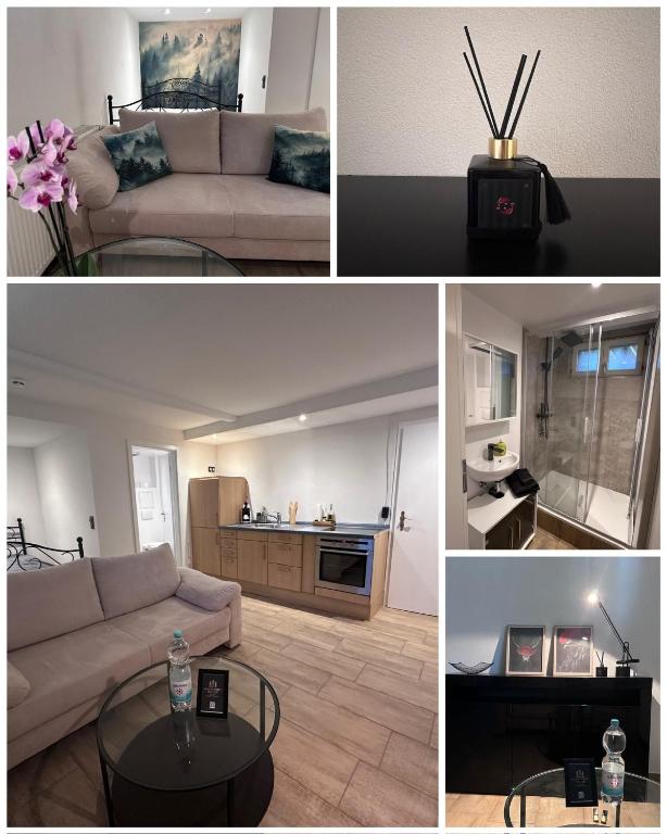 a collage of photos of a living room and a kitchen at Pendler Montagewohnung Kandern, Lörrach, Basel D,CH, FR in Holzen