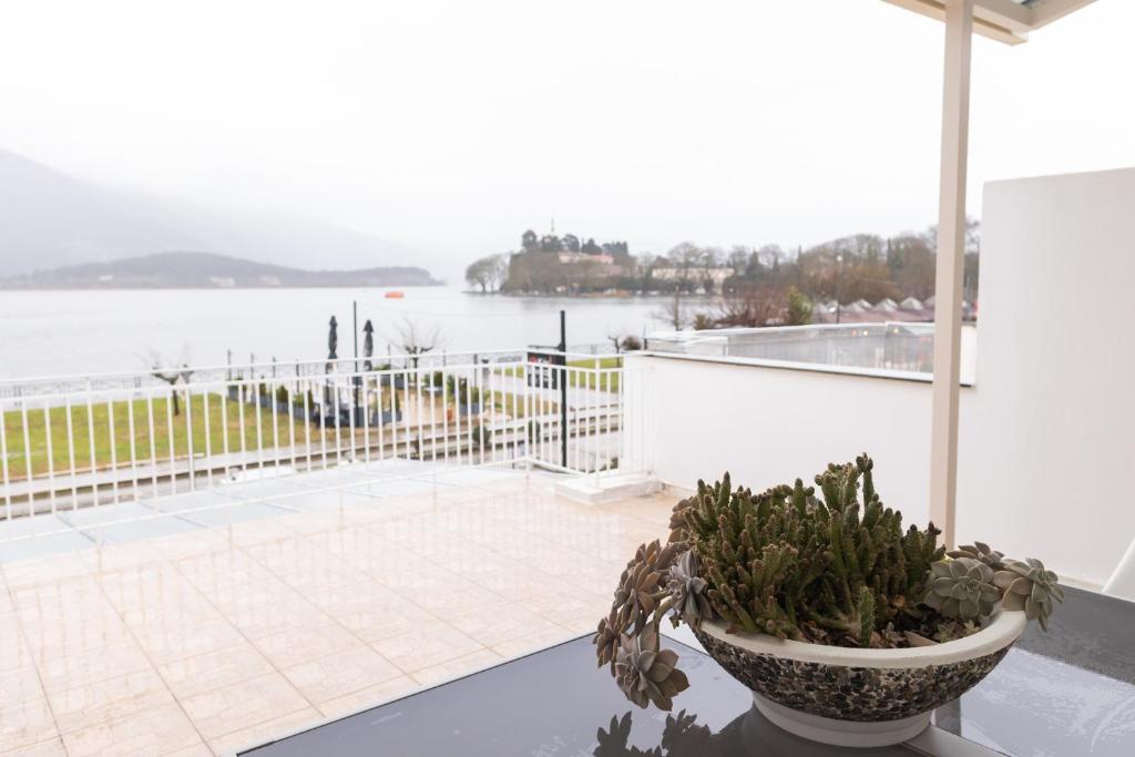 Magic Home at the Lake
