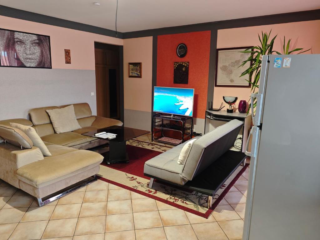 a living room with a couch and a tv at Tommy Apartman in Hajdúszoboszló