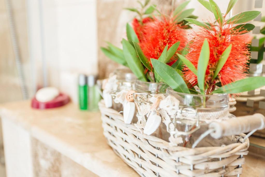 Apartments Belvedere - 19