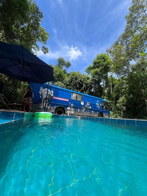 a blue bus parked next to a swimming pool at Ônibus Azul - Experiência de Hospedagem em Domingos Martins in Domingos Martins