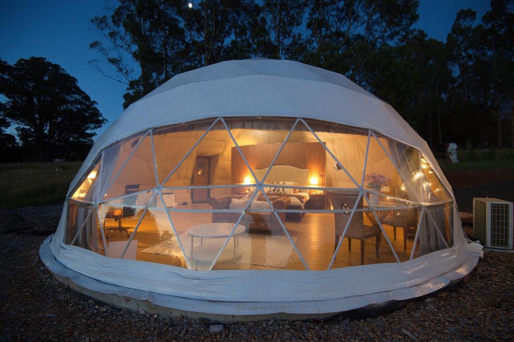 a large iguana house is lit up at night at One life Glamping Tent in Rawson