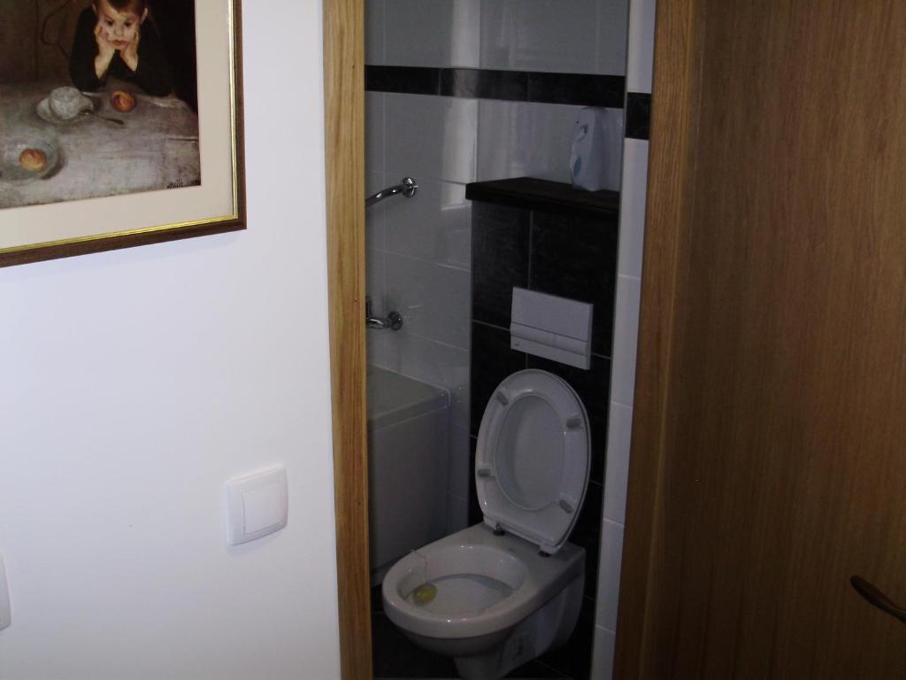 Kúpeľňa v ubytovaní Apartment Maximilian-free parking!!!