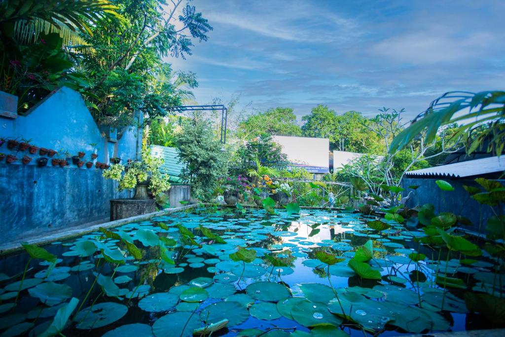 a pond of lily pads in a garden at Noha Villa in Talpe