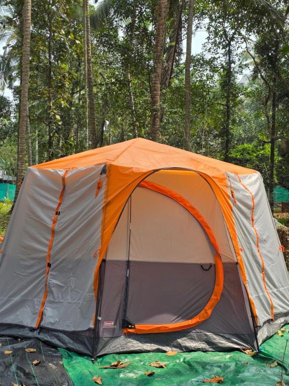 an orange and gray tent in front of trees at The Kadu in Tāzhekkod