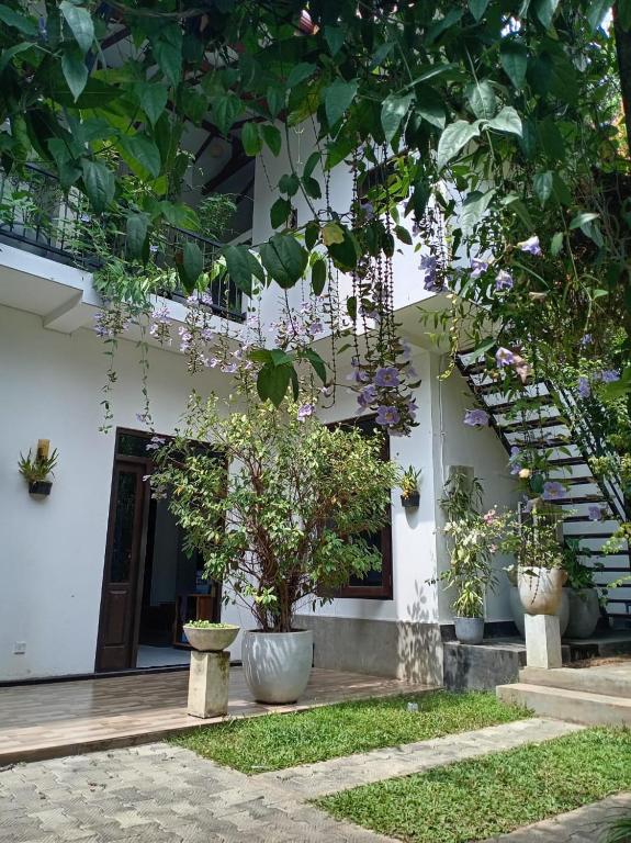 a house with a tree in front of it at Villa Nuelumalee UpStairs in Hikkaduwa