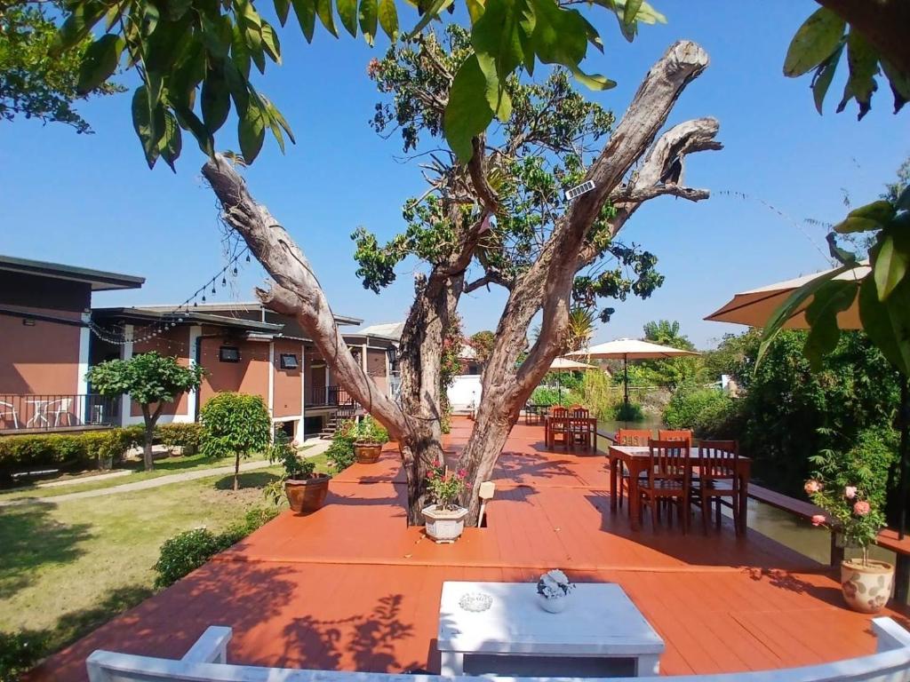 a tree sitting on a table in a yard at River Bend Villas in Mae Rim