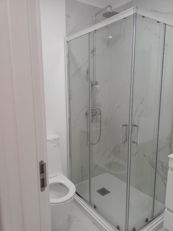 a bathroom with a shower and a toilet at Apartamento Cassoma in Amadora