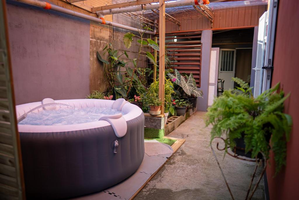 an outdoor hot tub in a courtyard with plants at Le Cocon de Bagatelle in Sainte-Suzanne