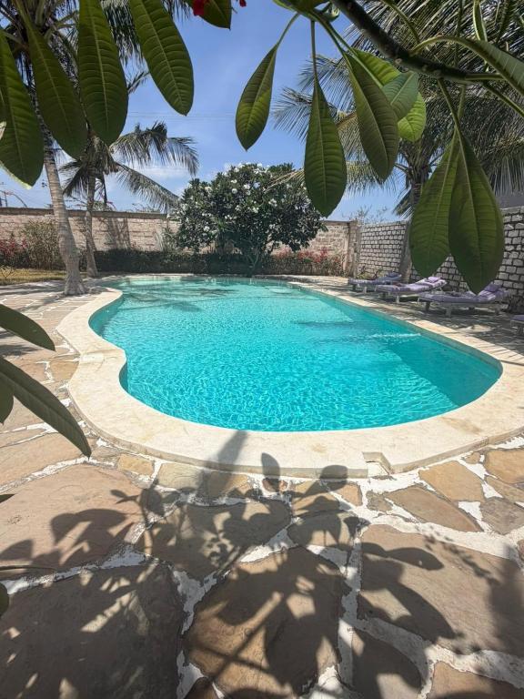 Twiga House Resort [ Piscina ☆☆☆☆☆ ] Pearl Beach