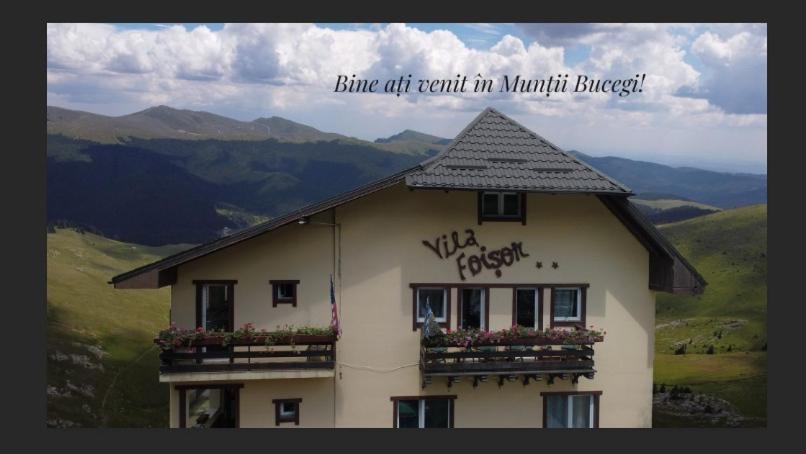 a building on a mountain with a sign on it at Villa Foisor in Buşteni