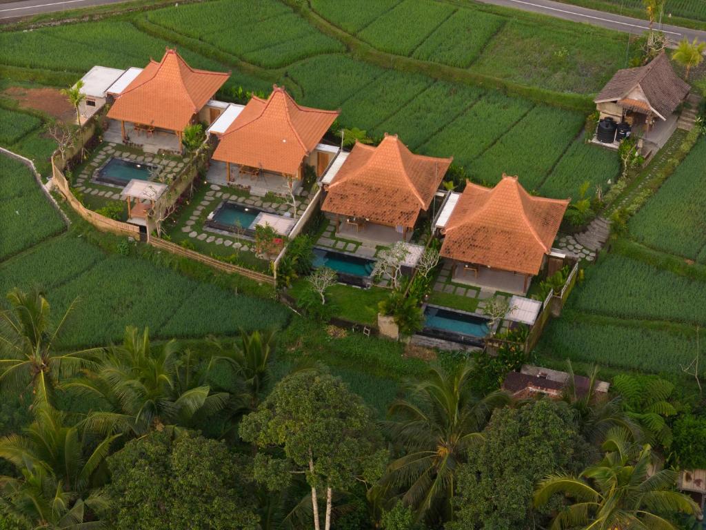 an aerial view of a villa in a rice field at The Patra Villa Sebatu by Dhananjaya Hospitality in Tampaksiring
