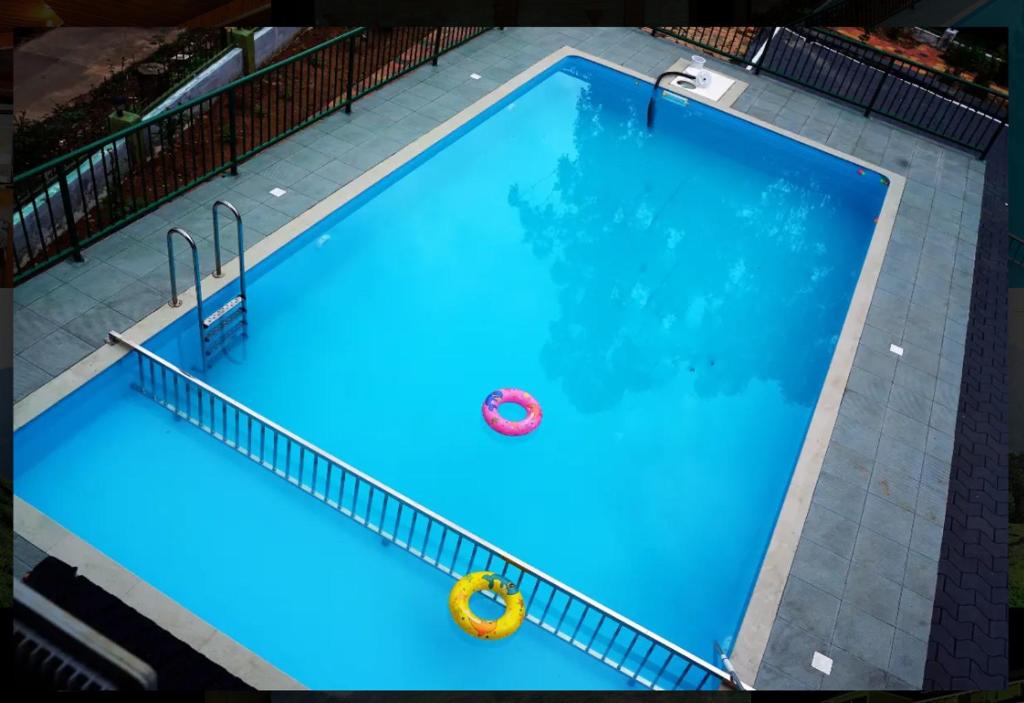 an overhead view of a large blue swimming pool at Nature Quite in Vattavada