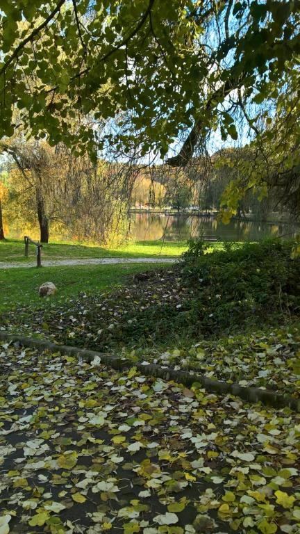 Ogród w obiekcie Cseppkő Panzió