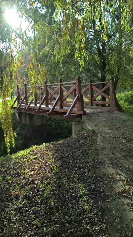 Ogród w obiekcie Cseppkő Panzió