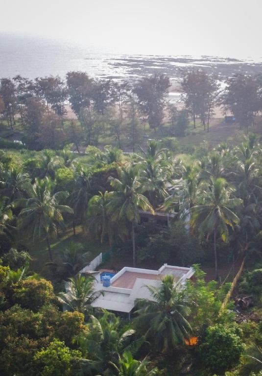 an aerial view of a resort with palm trees and the ocean at Ambadnya Homestays in Dāhānu