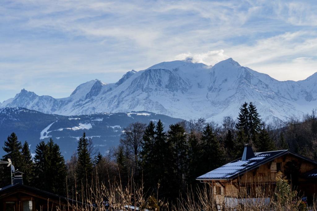 Chalet Panorama
