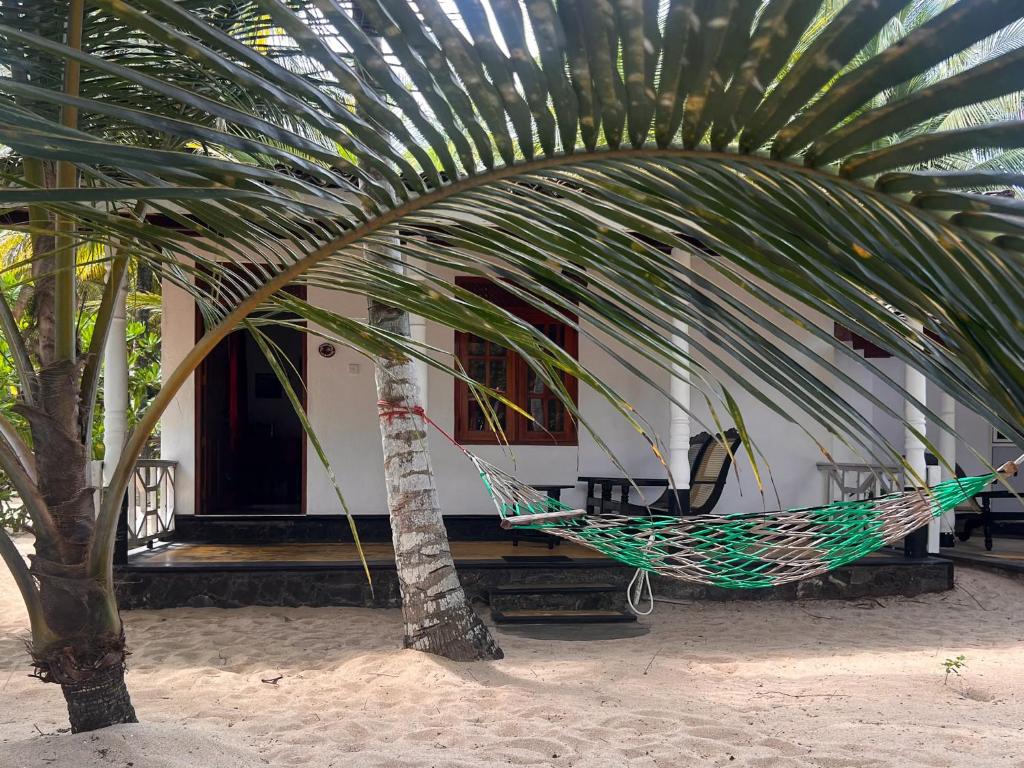 Ibisbird Beach Bungalows, Sport, Spa and Restaurant - 1