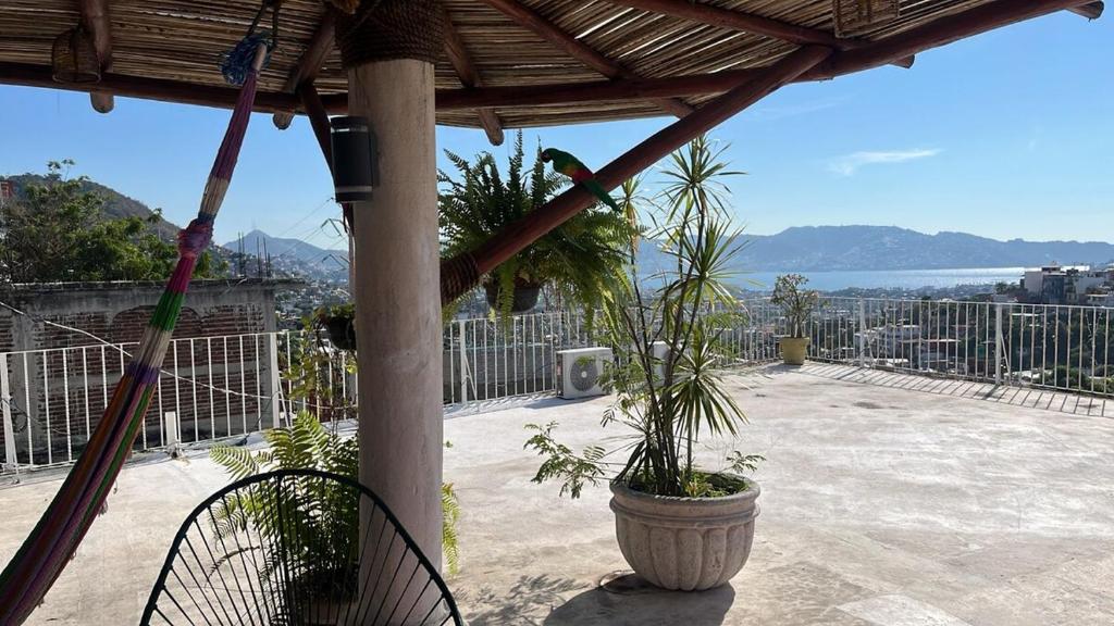 a porch with a potted plant on a patio at Casa Aca in Acapulco