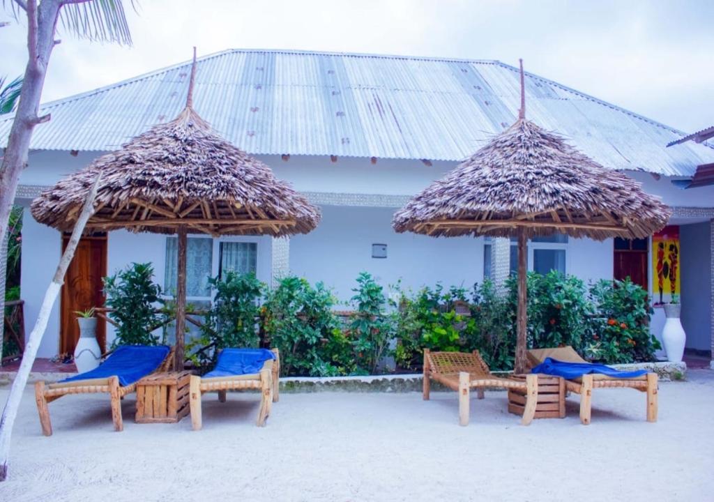 a group of chairs and umbrellas in front of a building at Datch Hideaway in Kiwengwa