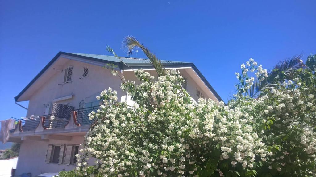 Tetto Verde - Chambre Simple
