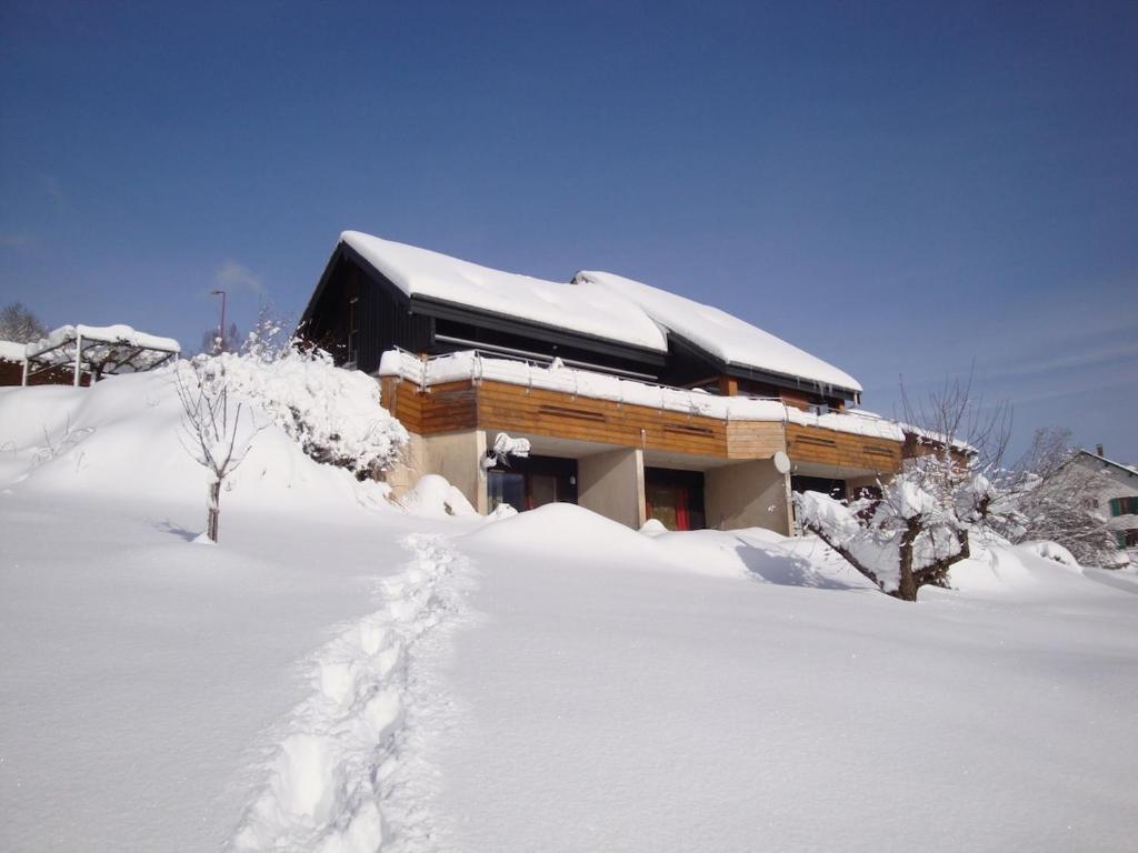 a house covered in snow in front at Les Epinettes Studio Prairie in Gérardmer